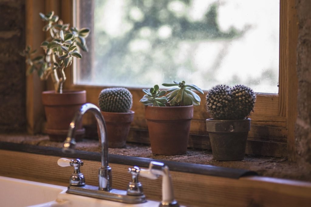 Cacti and succulent plants in terracotta pots on a windowsill, enhancing home decor and inviting natural elements into the interior space.